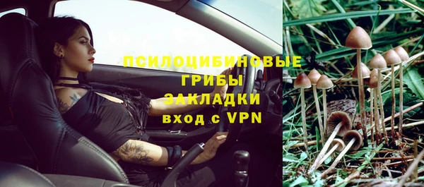 дурь Богородицк