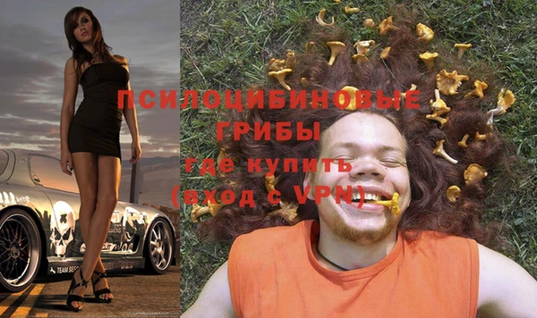спиды Новый Уренгой