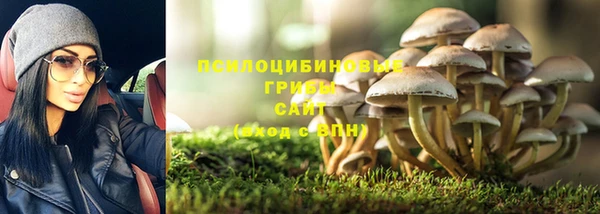 дурь Богородицк