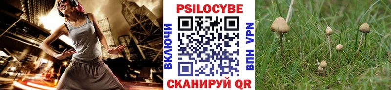 Псилоцибиновые грибы Psilocybe  Балахна 